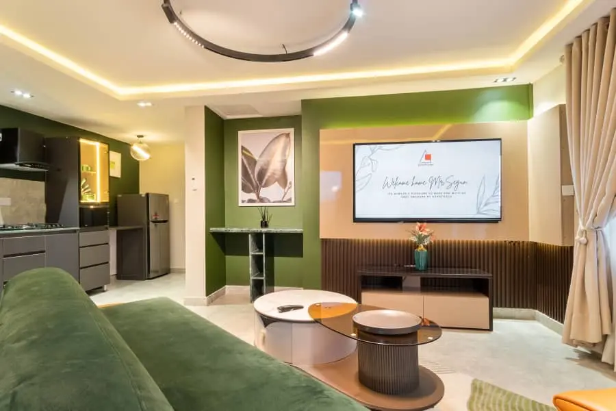 Naijaadultruns-room-stylish 1-bedroom apartment -image