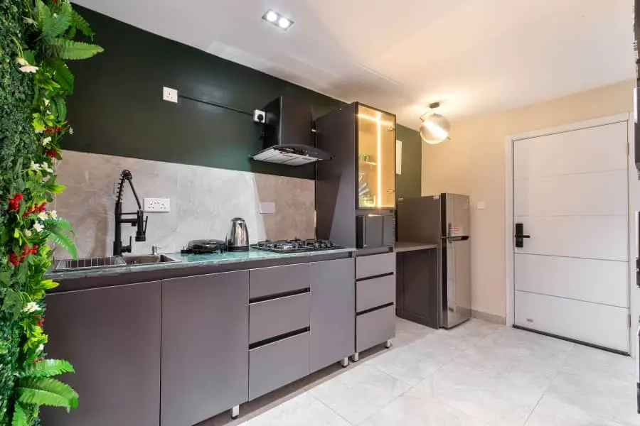 Naijaadultruns-room-stylish 1-bedroom apartment -image